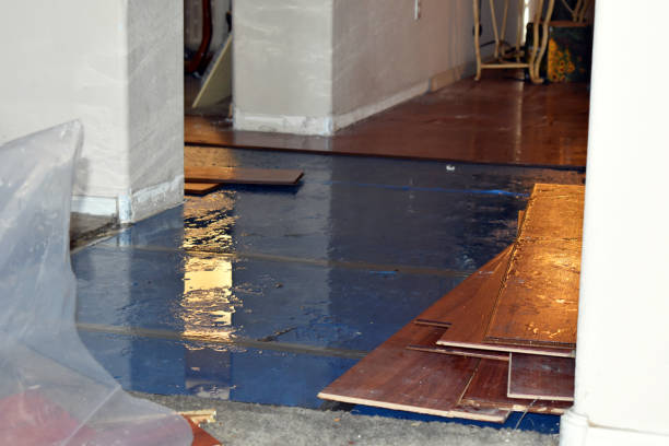 Professional Water Damage Restoration technician working in Pandora, TX